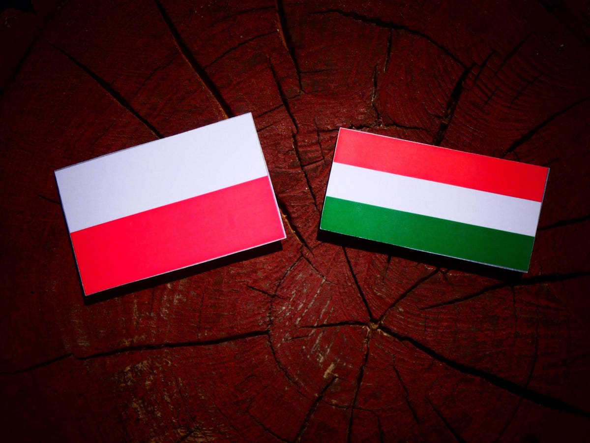 Around The World In Taxes: Poland And Hungary